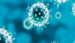 إندونيسيا تواجه الفيروس الغامض بتشديد الرقابة في المطارات والموانئ