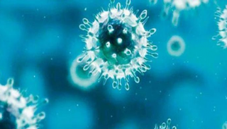 فيروس - صورة أرشيفية