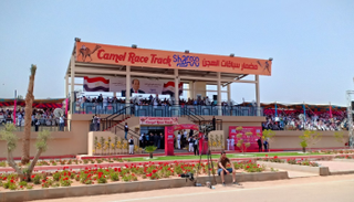 مضمار سباقات الهجن في شرم الشيخ