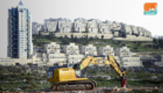 "المحميات الطبيعية".. أكذوبة إسرائيل لسرقة الأراضي الفلسطينية