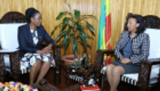 تعيين منسقة أممية للشؤون الإنسانية في إثيوبيا