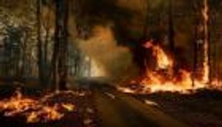 وقفات بالشموع تضامنا مع ضحايا حرائق غابات أستراليا