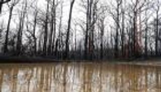 عواصف رعدية وأمطار تخفف حدة حرائق غابات أستراليا