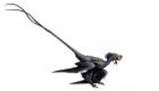 "التنين الراقص" يبرز الفرق بين ريش الديناصورات والطيور