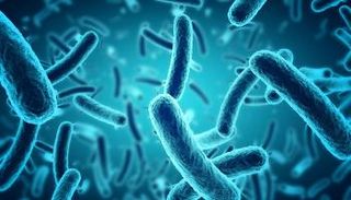 الأمراض غير المعدية قد تنتقل بين البشر عن طريق الميكروبات