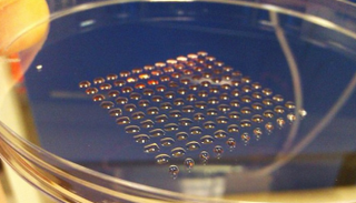 الخلايا الحية تقنية واعدة للبناء