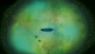 تلسكوب "نيوتن" يكشف أسرارا جديدة عن هالة درب التبانة