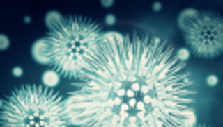 17 إصابة جديدة بـ"الفيروس التاجي" في الصين