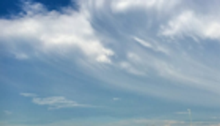 ليست غازات لكنها فطريات.. العثور على أصل ملوثات الهواء الخطيرة