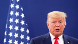 أمريكا تنضم لمبادرة زرع تريليون شجرة