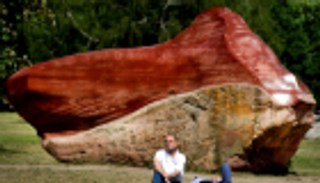 فنزويلا تستعيد صخرة مقدّسة من ألمانيا