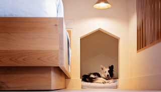 الفندق يستخدم عائداته لوقف قتل الحيوانات في أمريكا