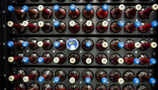 عينات من دم الحبل السري في البنك البولندي