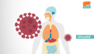 إنفوجراف.. 9 أعراض تكشف الإصابة بـ"كورونا" الجديد