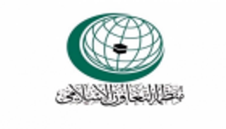 "التعاون الإسلامي" تشارك في متابعة تنفيذ اتفاق السلام بمالي