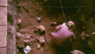 اكتشاف أقدم حمض نووي في أفريقيا بالكاميرون