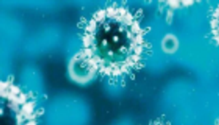 ارتفاع حصيلة الوفيات بفيروس كورونا في الصين إلى 25 شخصا