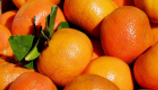 مليئة بالحشرات.. روسيا ترفض شحنات يوسفي تركية 