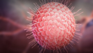 "أبوظبي للصحة العامة": لا توجد إصابات بـ"كورونا الجديد" في الإمارات