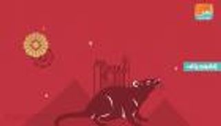 إنفوجراف.. أبرز معلومات عن عام الفأر الصيني