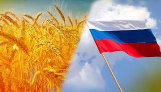 إنتاج القمح في روسيا يتصدر دول العالم