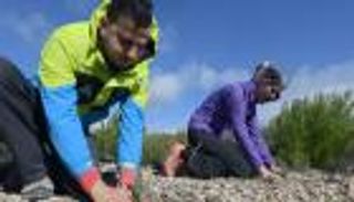 شباب متطوع يقود حملات تشجير في تونس