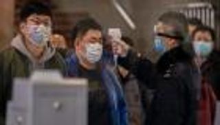 كورونا الجديد.. الخفافيش المتهم الأول