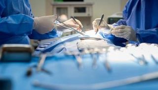 قلب بشري داخل المختبر- أرشيفية