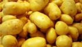 البطاطس المصرية تدخل الهند وموريشيوس لأول مرة في تاريخ الصادرات