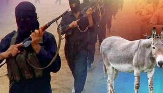 عناصر داعش أرسلوا حمار مفخخا في بداية الهجوم 