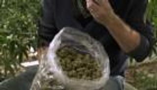 فقد حقيبة المخدرات فاستعان بالشرطة للبحث عنها