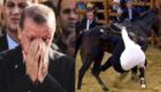 "عنترة المزيف".. دعوات لموقف عربي موحد ضد أردوغان