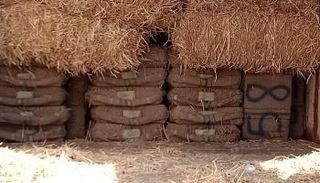 شحنة الحشيش مخبأة في حمولة تبن