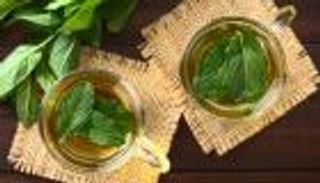 النعناع الأخضر.. فوائد صحية مذهلة