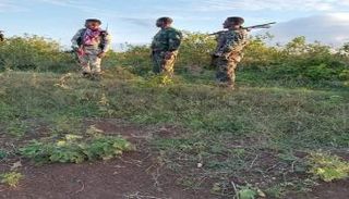 عناصر من الجيش الصومالي