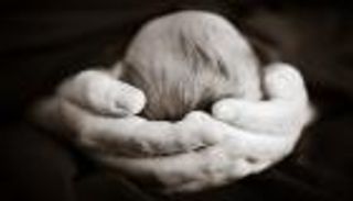 الأمم المتحدة: ولادة جنين ميت كل 16 ثانية