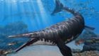 اكتشاف نوع جديد من الزواحف البحرية.. عاش قبل 72 مليون سنة