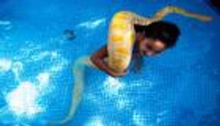 بالصور.. طفلة تسترخي في مسبحها مع أفعى عملاقة