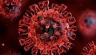 لمواجهة كورونا.. احذر نقص هذا الفيتامين في الخريف