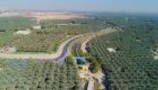 "جينيس" تسجل "الأحساء" السعودية كأكبر واحة في العالم