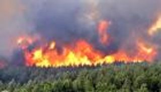 بالصور.. لبنان يحترق والأهالي يستغيثون