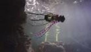 فيديو.. حبار آلي يستكشف أعماق المحيطات السحيقة