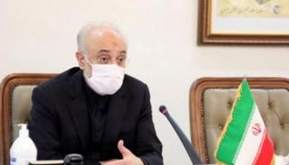 علي أكبر صالحي - أرشيفية