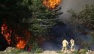 إشعال حرائق الغابات.. اتهام جديد يلاحق نظام أردوغان