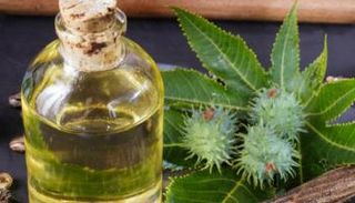 زيت الخروع يتمتع بفوائد صحية عديدة