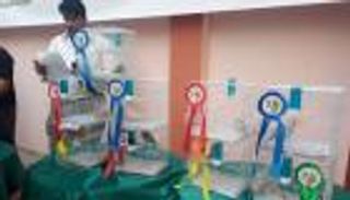 مسابقة طيور الزينة في عدن.. رسائل سلام ومحبة