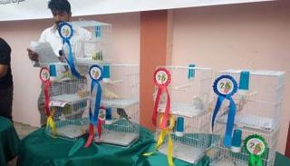 جانب من مسابقة طيور الزينة في عدن