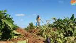 إسرائيل تعود لعادة قديمة في غزة