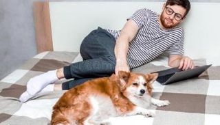 الشركة تمنح موظفيها الإذن بالذهاب للطبيب البيطري