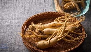 ما هي فوائد الجنسنج